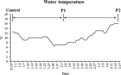 Genetically Based Physiological Responses to Overwinter Starvation in Gibel Carp (Carassius gibelio)